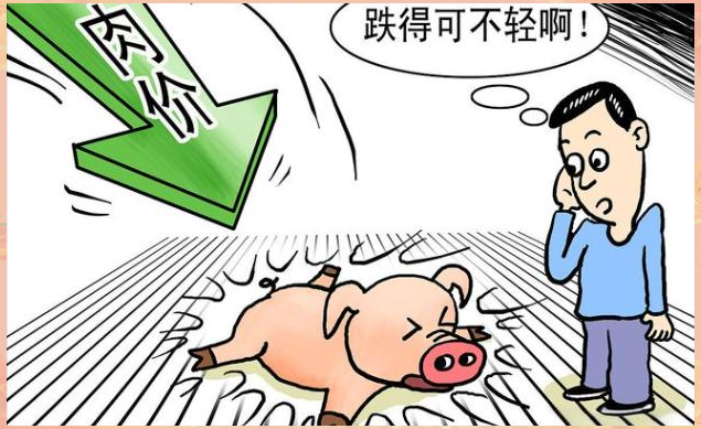 关于Gate遭遇大幅下滑超5.1%，投资者恐慌性抛售的信息